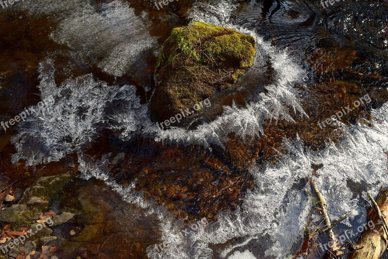 Frozen Stream Rock Green Moss Winter