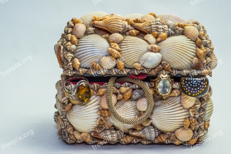 Treasure Chest Jewellry Mussels Gold Silver