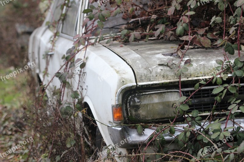 Car Wreck Oldtimer Body Overgrown Environment