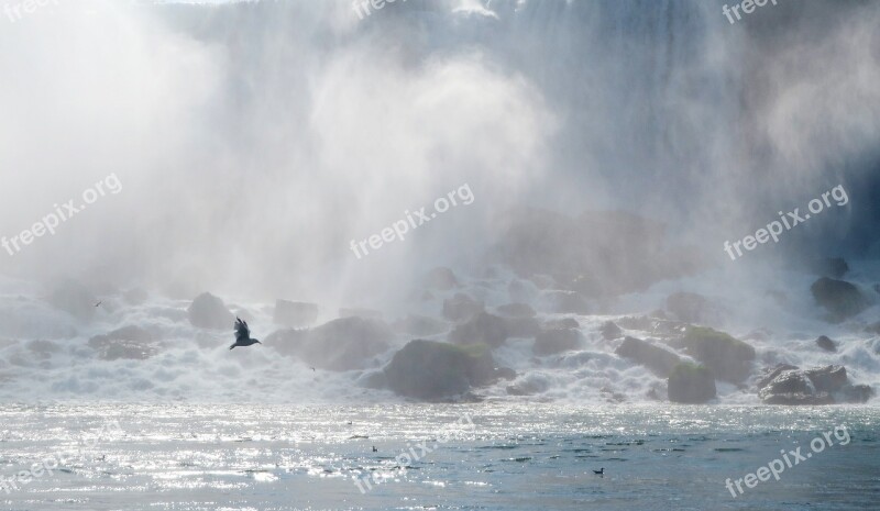 Waterfall Bird Flying River Landscape