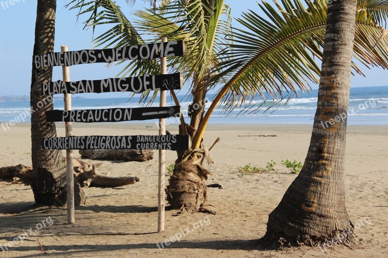 Costa Rica Palm Trees Tropical Beach Characters