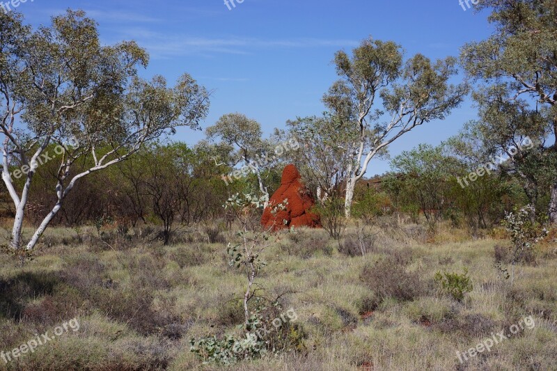 Termittenhuegel Australia Outback Landscape Natural Attraction