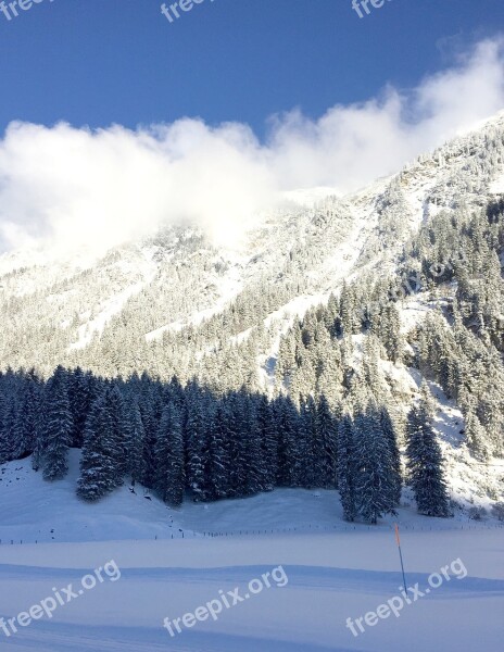 Mountains Trees Panorama Snow Landscape Alpine