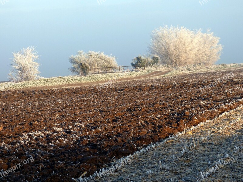 Winter Trees Sky Gel Frost