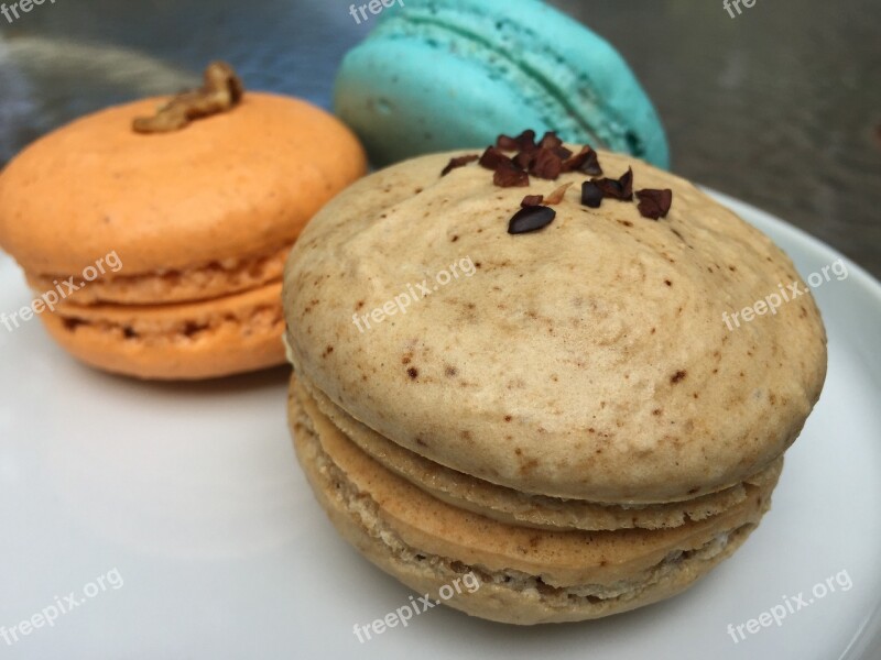 Macaron Colors Sweet Dessert French