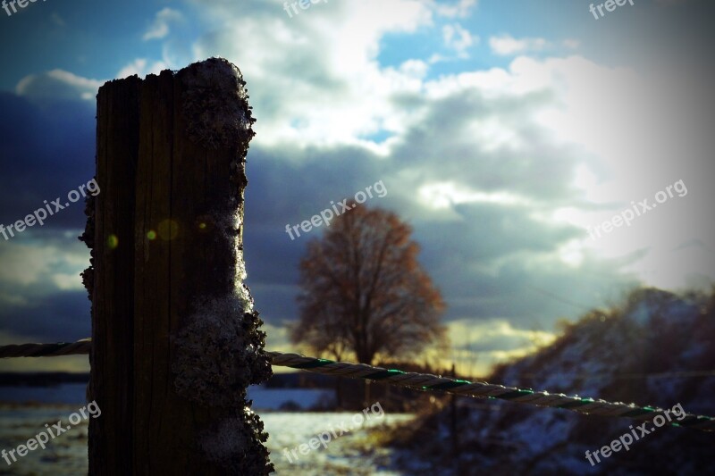 Post Fence Cattle Fence Pasture Wooden Posts