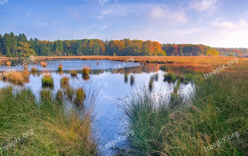 Lake Trees Autumn Reflection Nature