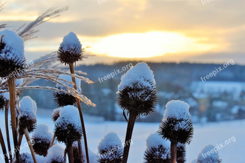 Snow Landscape Winter Snow Landscape White