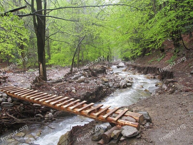 Nature Stream Bridge Low Tatras Free Photos