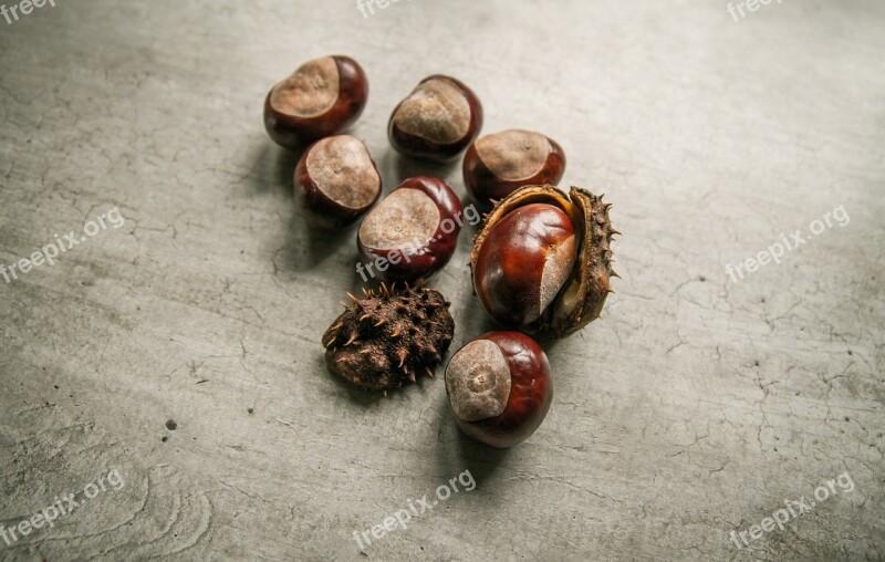 Chestnuts Fresh Food Autumn Brown