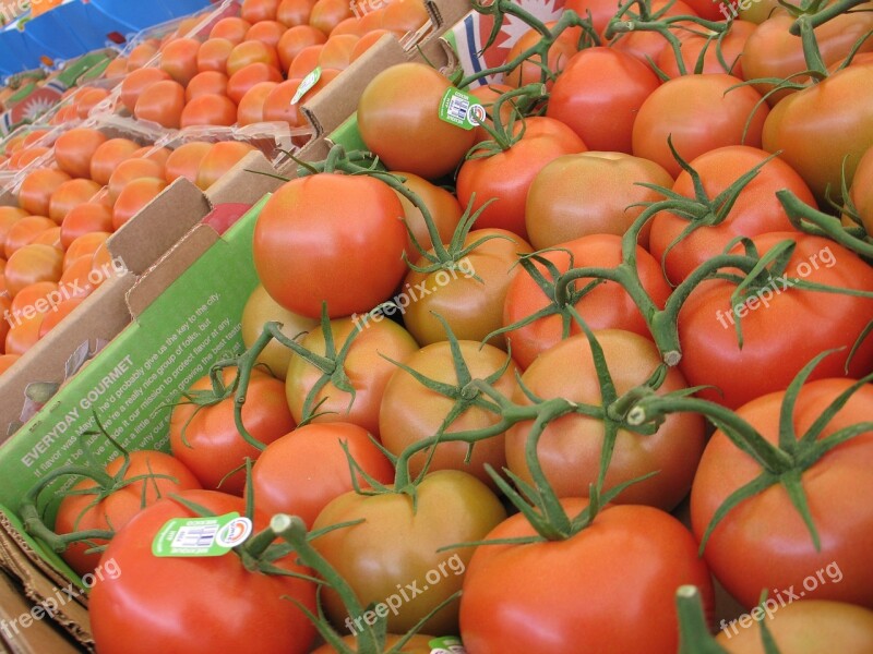 Tomatoes Vegetables Fruit Nature Healthy