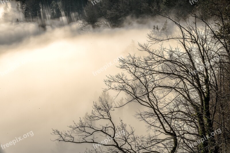 Sea Of Fog Alpine Landscape Nature Mountains