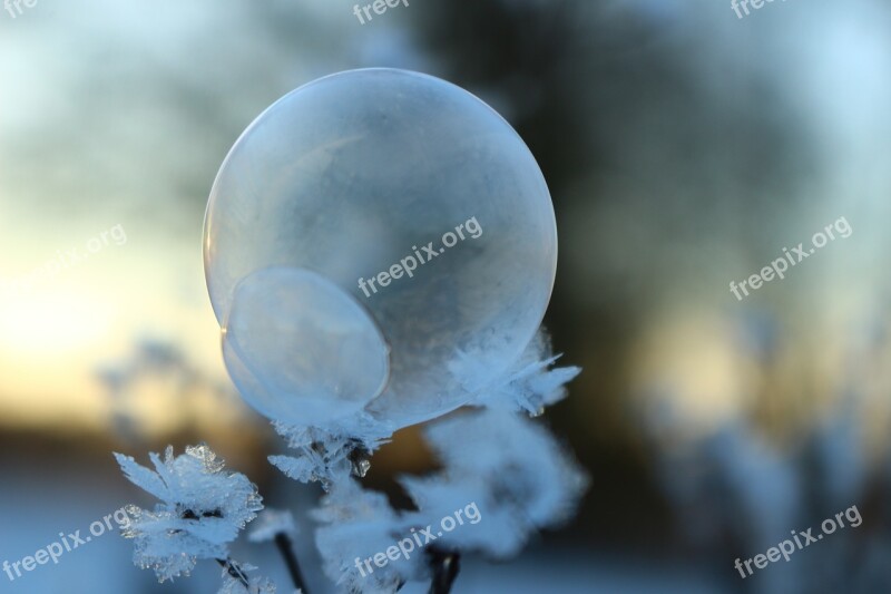 Soap Bubble Snow Frost Eiskristalle Winter