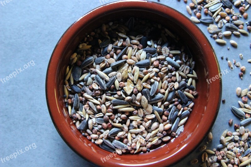 Bird Seed Grains Sunflower Seeds Millet Wheat