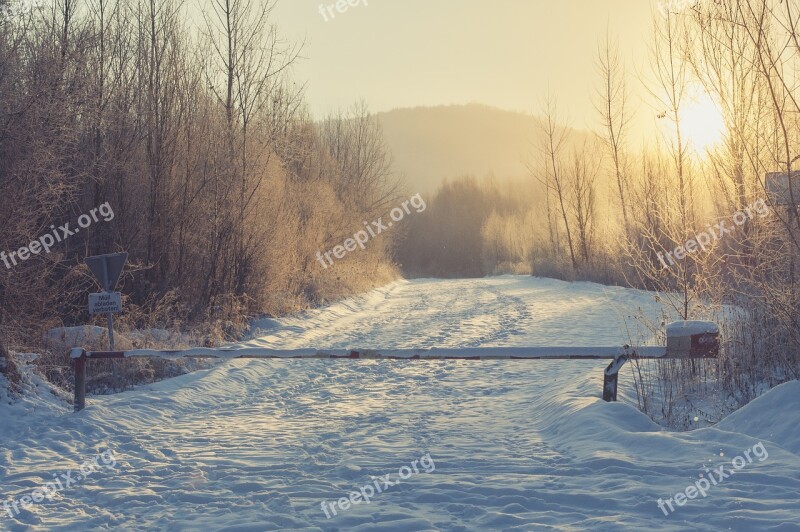 Road Snow Winter Landscape Cold