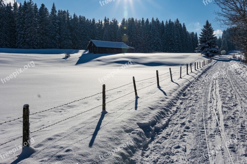 Winter Winter Way Snow Fence Barbed Wire