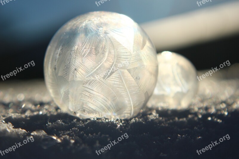 Eiskristalle Soap Bubble Winter Frost Cold