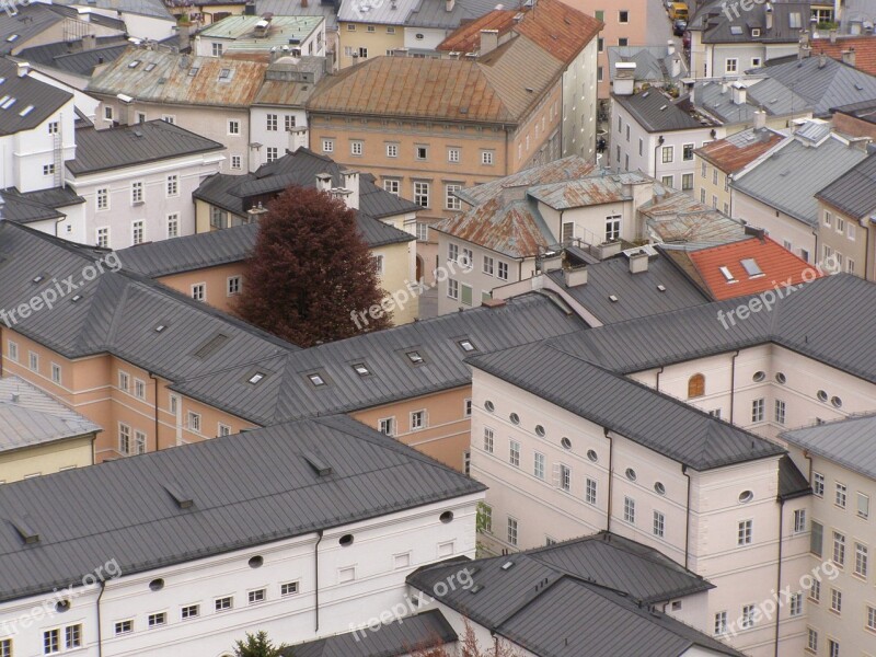 Roof Roof Houses Single Tree Tree Salzburg