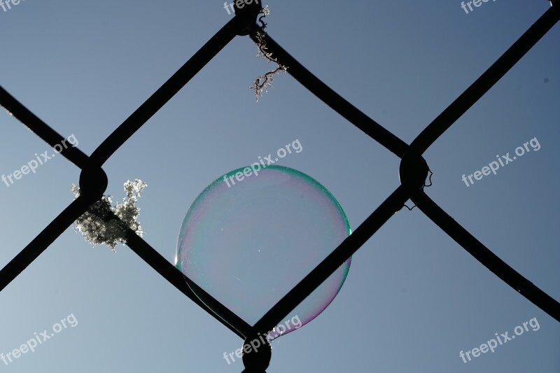 Fence Winter Soap Bubble Frozen Frozen Bubble