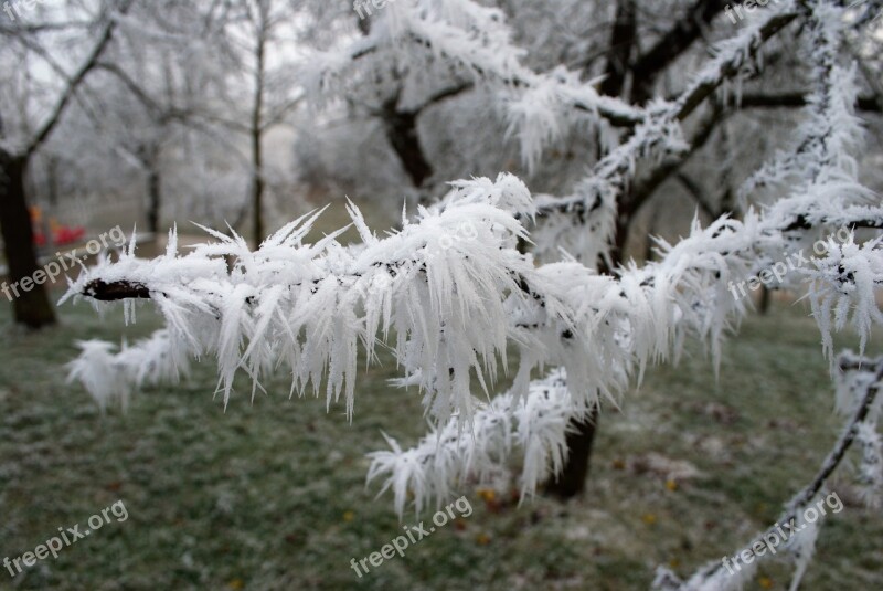 Winter Wonderland Snow Ice Nature