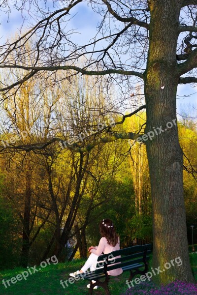 Nature Flower Girl Tree Sit Bank