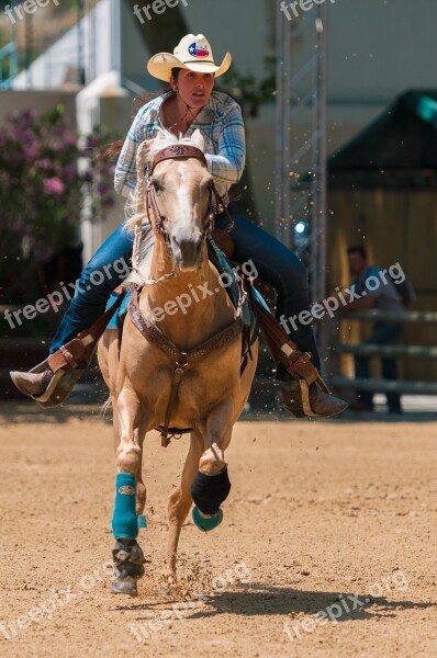 Horse Contest Barrel Western Horseback Riding