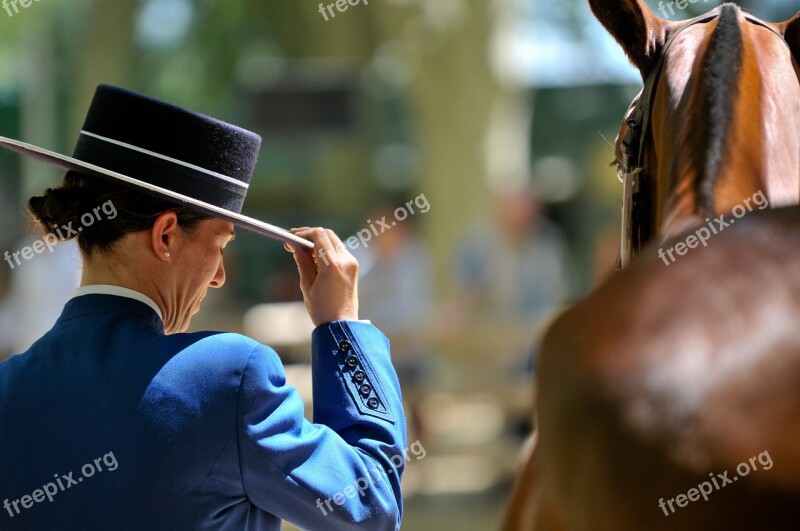 Horse Contest Horseback Riding Horses Animals