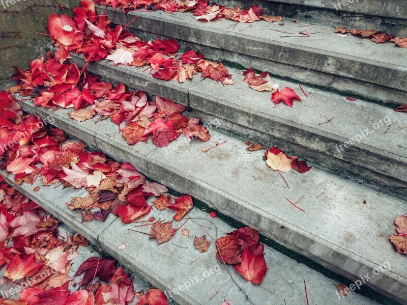 Stairs Autumn Leaves Gradually Stone