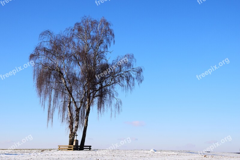 Tree Winter Wintry Kahl Sky