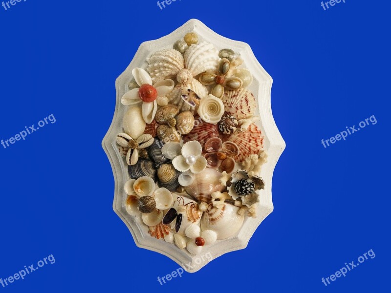 Crafts Sea Shells Art Free Photos