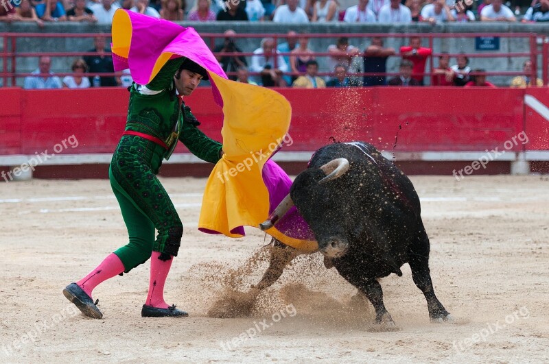 Bullfight Toreador Arenas Beaucaire Bulls