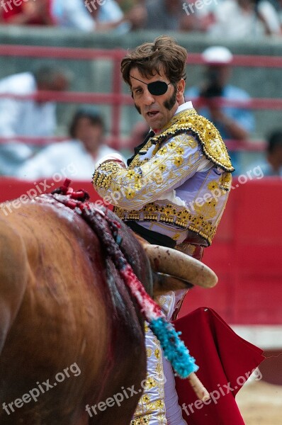 Bullfight Toreador Bulls Arenas Padilla