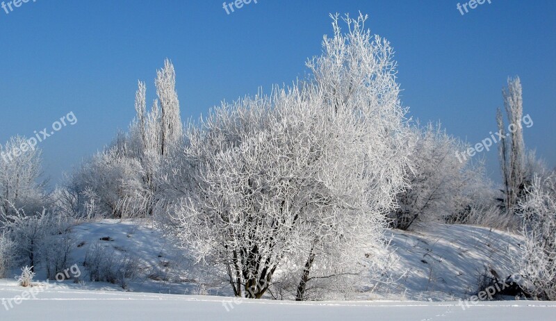 Hoarfrost Winter Cold Frost Clear