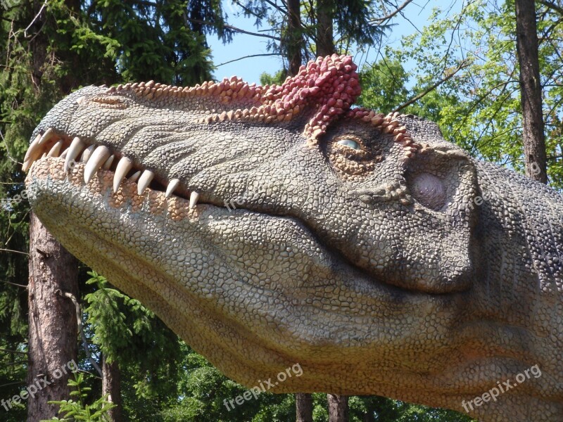 Dinosaur Head Teeth Extinct Maquette