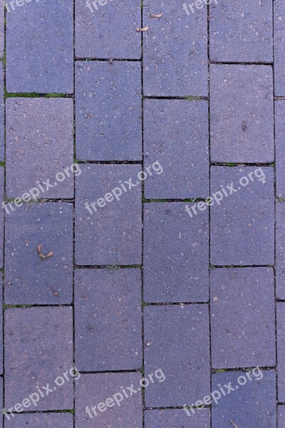 Paving Stones Joints Structure Patch Texture