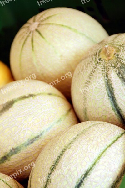 Melon Melons Green Eat Market