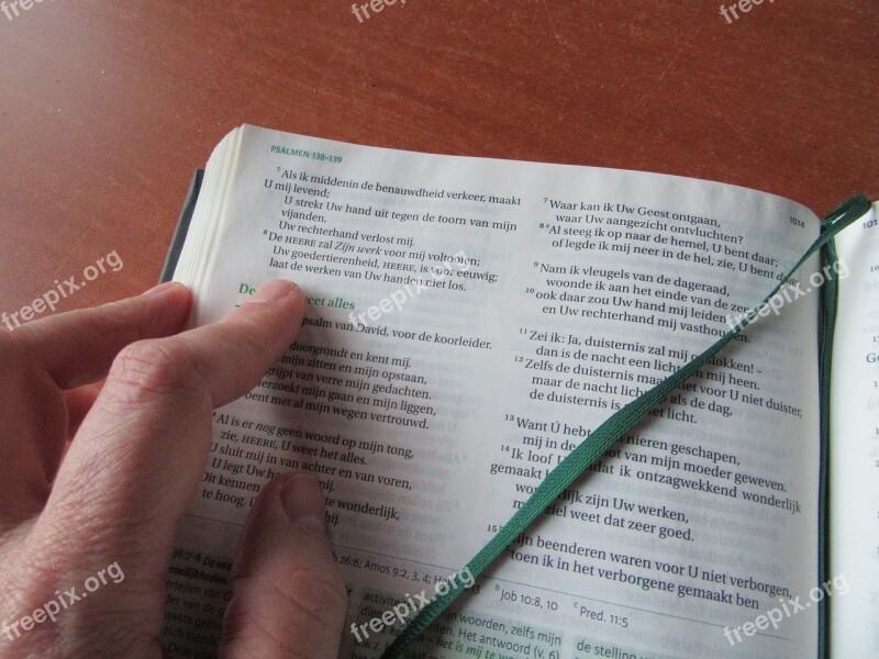 Bible Read Book Open Bookmark