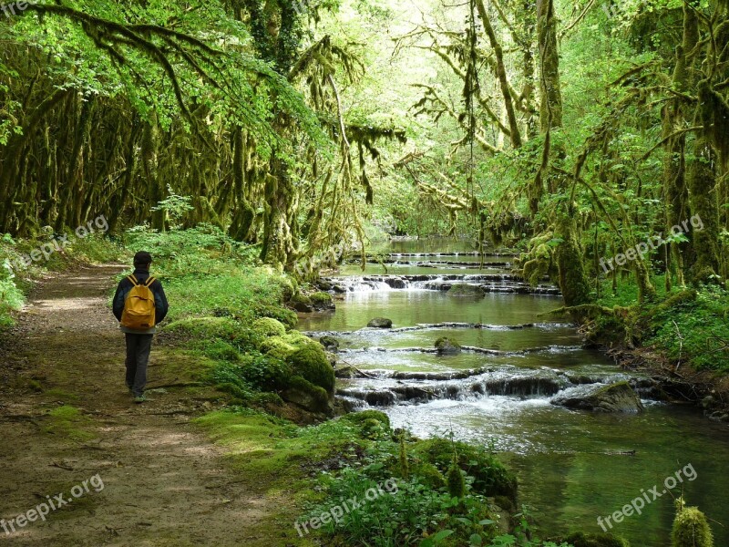 Creek Small Valley Nature Landscape Green