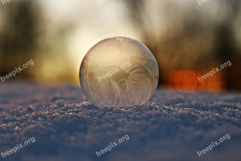 Soap Bubble Frost Snow Bubble Winter