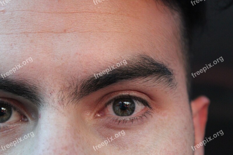 Eye Macro Eyebrow Male Face