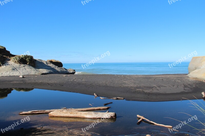 Beach Sea Ocean New Zealand Drift Wood