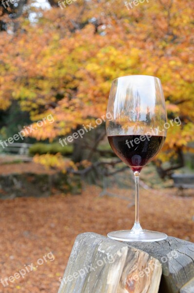 Wine Glass Red Wine Autumn Forest