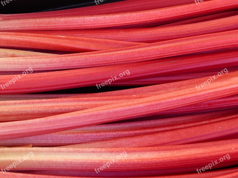 Still Lifes Texture Rhubarb Red Color Free Photos