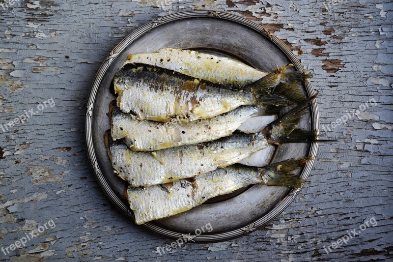 Sardines Food Fish Healthy Seafood