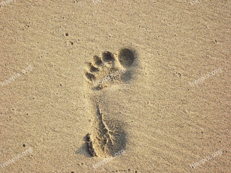 Beach Foot Print Sand Print Footstep Barefoot