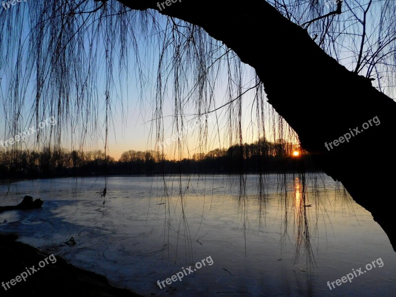 Weeping Willow Sunset Waters Lake Frozen