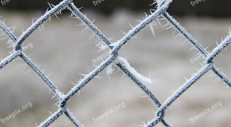 Winter Icy Frost Cold Crystal Formation