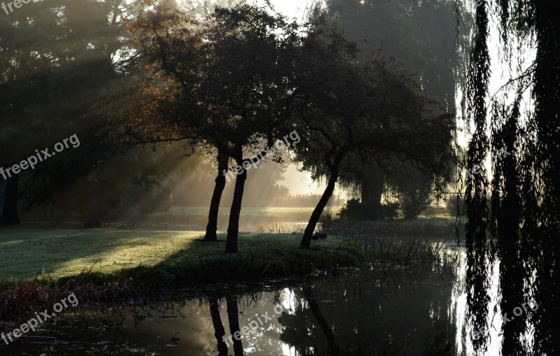 Wilhelminapark Mist Sun Rays More Free Photos