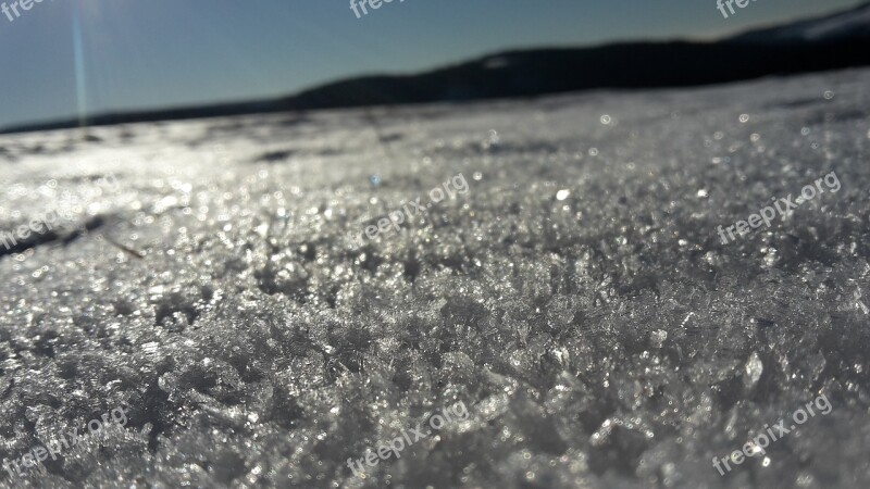 Snow Sun Winter Nature Frost