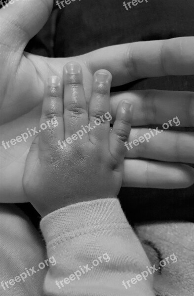 Family Baby Hand Parent Hand Parenthood Free Photos